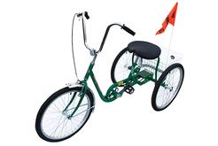 Green Industrial Bicycle