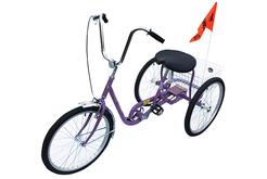 Purple Industrial Bicycle